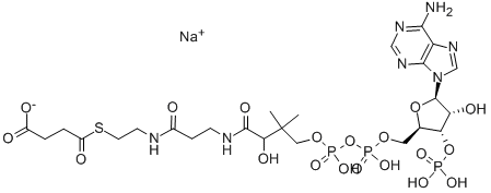 SUCCINYL COENZYME A SODIUM SALT