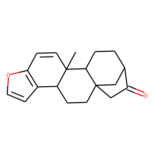 16-OXOKAHWEOL