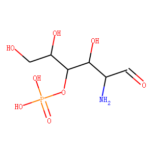 glucosamine 4-phosphate