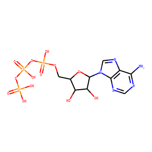 R-PHYCOERYTHRIN