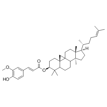 γ-Oryzanol