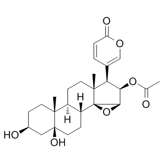 Cinobufotalin