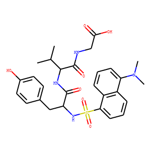 DANSYL-TYR-VAL-GLY
