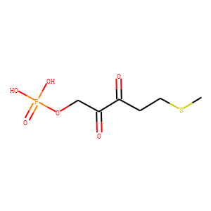 1-phospho-2,3-diketo-5-S-methylthiopentane