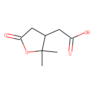 rac-Terpenylic Acid