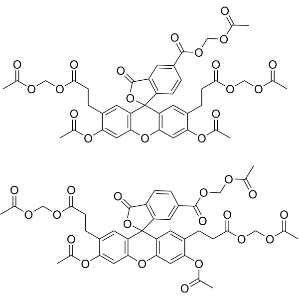 BCECF-AM