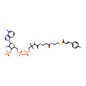 4-Coumaroyl-CoA