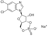5,6-DICHLORO-1-BETA-D-RIBOFURANOSYLBENZIMIDAZOLE-3',5'-CYCLIC MONOPHOSPHOROTHIOATE, RP-ISOMER SODI