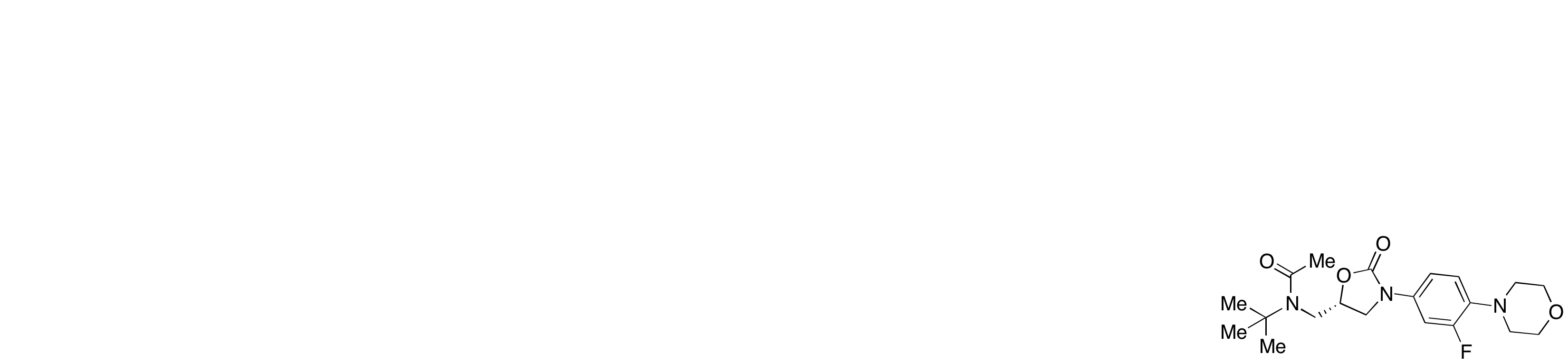 N-t-Butyl Linezolid