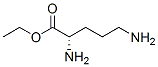 Ornithine, ethyl ester (9CI)