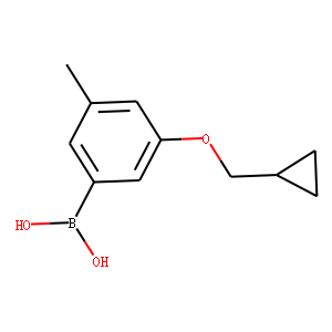 3-(Cyclopropylmethoxy)-5-methylphenylboronic acid