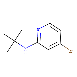 4-broMo-N-tert-butylpyridin-2-aMine
