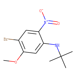 4-Bromo-N-t-butyl-5-methoxy-2-nitroaniline