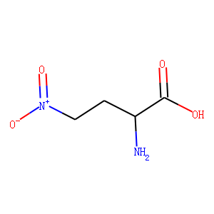 4-nitro-2-aminobutyric acid