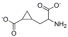 2-amino-4,5-methanoadipate