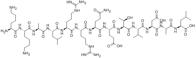 AUTOCAMTIDE-2