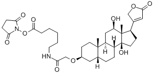 DIGOXIGENIN NHS-ESTER