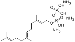 FARNESYLPYROPHOSPHATE