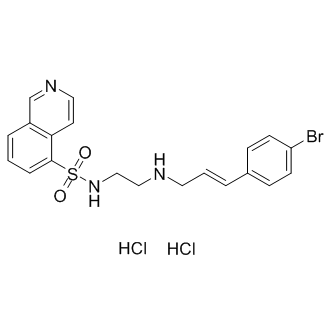 H-89 dihydrochloride
