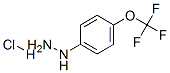 4-(Trifluoromethoxy)PhenylhydrazineHydrochloride
