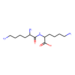 lysyllysine