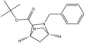 (1S,4S)-tert-butyl 5-benzyl-2,5-diazabicyclo[2.2.1]heptane-2-carboxylate