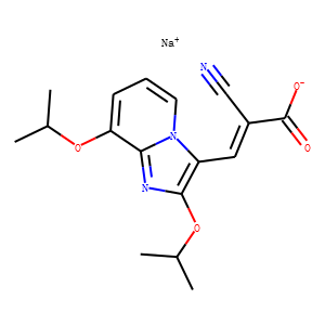 SJC 13