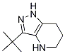 3-tert-butyl-4,5,6,7-tetrahydro-1H-pyrazolo[4,3-b]pyridine