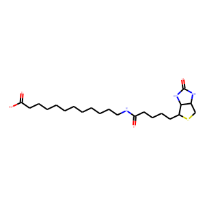 N-Biotinyl-12-aminododecanoic Acid