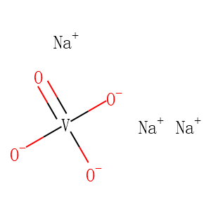 Sodium orthovanadate, Activated