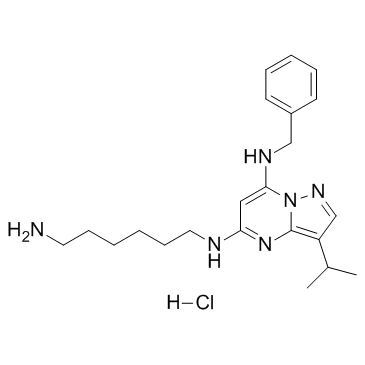 BS-181 hydrochloride