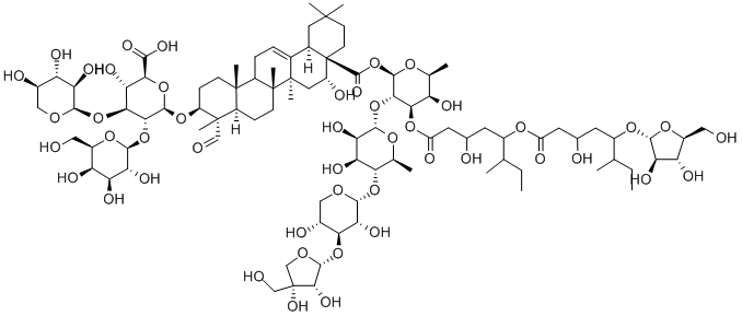 QS 21