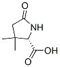 Proline, 3,3-dimethyl-5-oxo- (9CI)