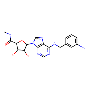 N(6)-(4-aminobenzyl)adenosine-5/'-N-methyluronamide