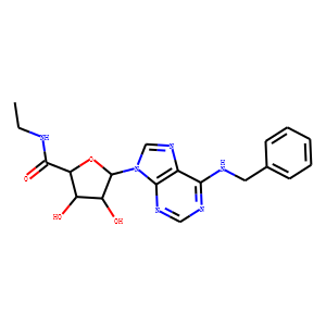 N6-Benzyl-5’-ethylcarboxamido Adenosine