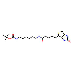 N-Biotinyl-N’-Boc-1,6-hexanediamine