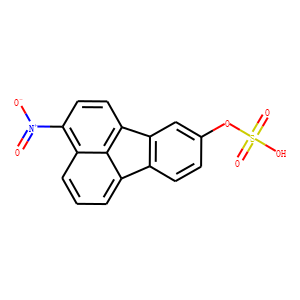 3-nitrofluoranthene-9-sulfate
