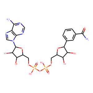 benzamide adenine nucleotide