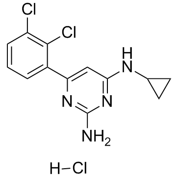 TH588 hydrochloride
