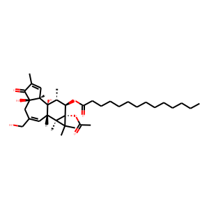 Phorbol 12-myristate 13-acetate