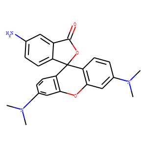 5-Aminotetramethyl Rhodamine