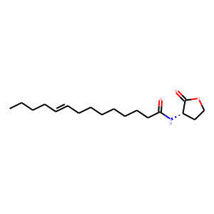 N-cis-tetradec-9Z-enoyl-L-Homoserine lactone