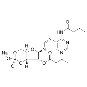 Bucladesine sodium salt