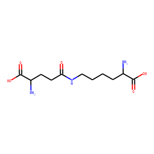 ε-(γ-L-Glutamyl)lysine
