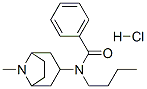 N-butyl-N-(8-methyl-8-azabicyclo[3.2.1]oct-3-yl)benzamide hydrochlorid e