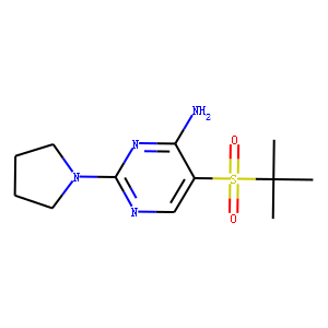 5-(TERT-BUTYLSULFONYL)-2-TETRAHYDRO-1H-PYRROL-1-YLPYRIMIDIN-4-AMINE