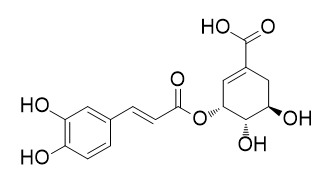 3-O-Caffeoylshikimic acid