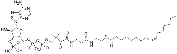 (C16:1) COENZYME A