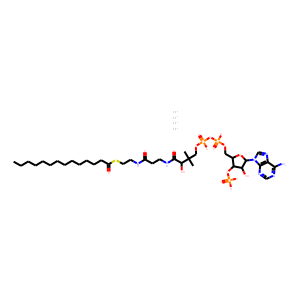 MYRISTOYL COENZYME A C14:0 LITHIUM SALT