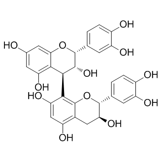 Procyanidin B1